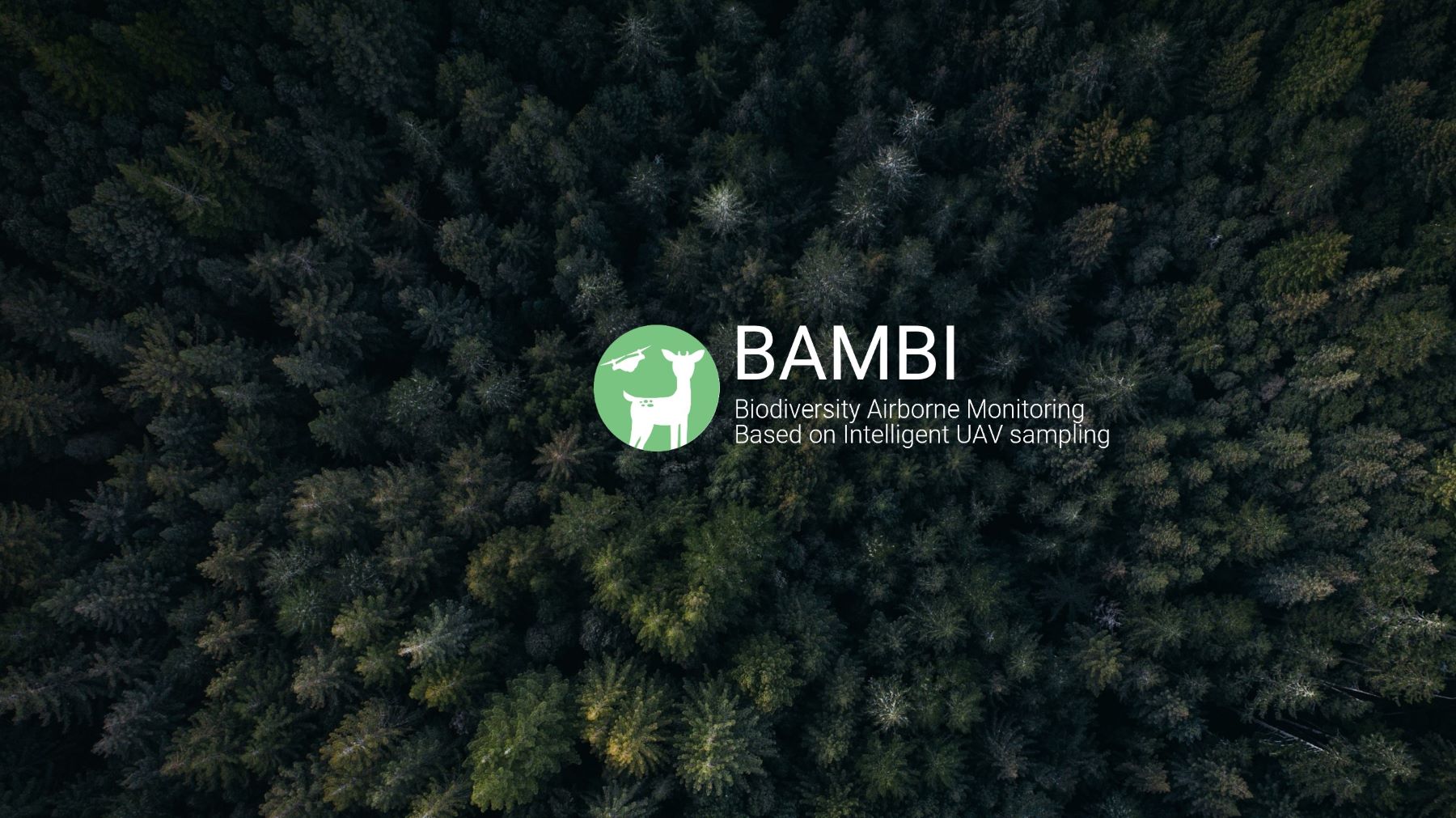 BAMBI | DML